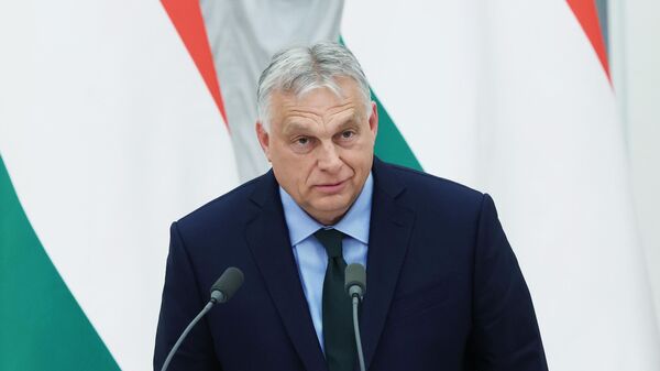 Миссия «Миротворец»: приведут ли визиты Орбана к переговорам по Украине