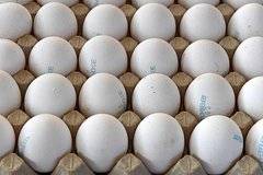 В России предложили заморозить цены на ряд продуктов
