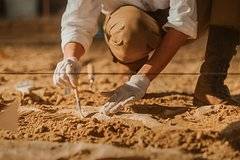 Раскрыта тайна загадочного древнего черепа