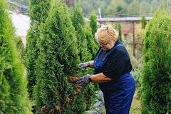 Россияне начали привыкать к идее работать в старости