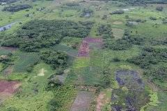 Раскрыта тайна крупнейшего памятника майя