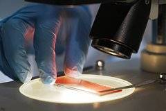 Найден способ замедлить старение и продлить жизнь