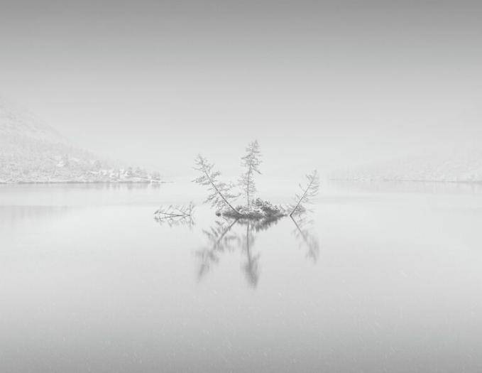 Карусель лиственницы