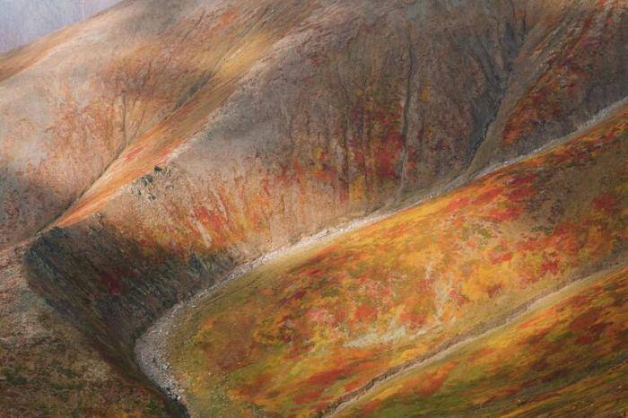 Палитра осени