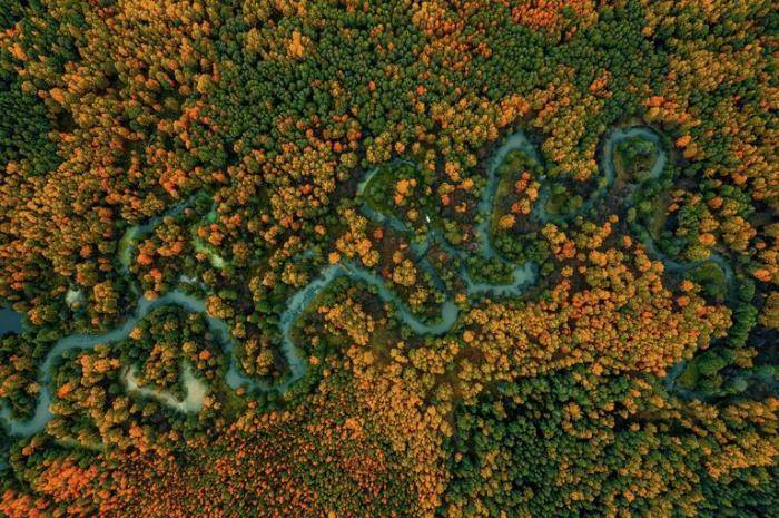 Устье Парата