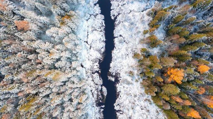 Времена года: зима наступает на осень