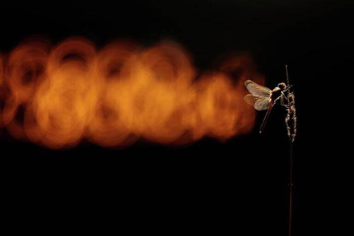 Фотография Андрея Кузнецова Инверсионный след