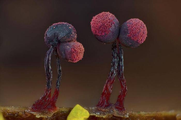 Фотография Игоря Рудковского Компания друзей