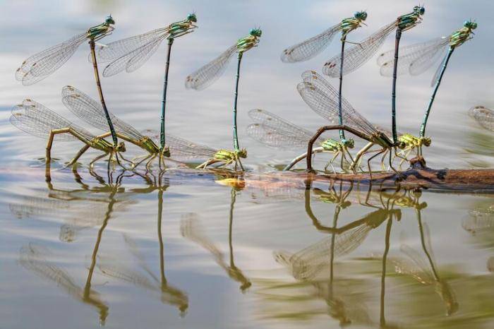 Фотография Натальм Бачковой на Титанике