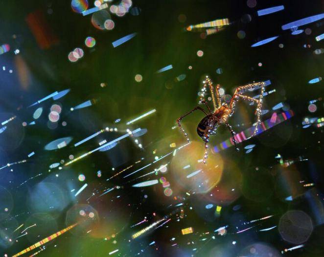 Фотография Анатолия Плечистого Межгалактический полет