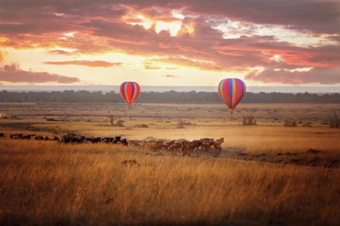 Национальный заповедник Масай Мара, Кения