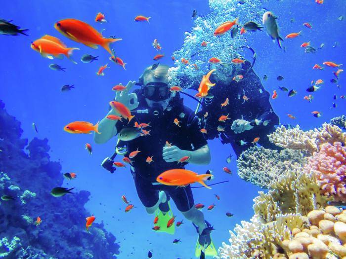 Дайвинг на Красном море в Египте 