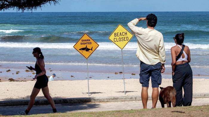 Закрытый после недавних нападений акул пляж в Сиднее, Австралия, 20 января 2026 года