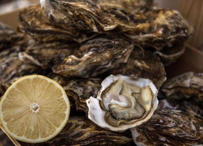 Устрицы