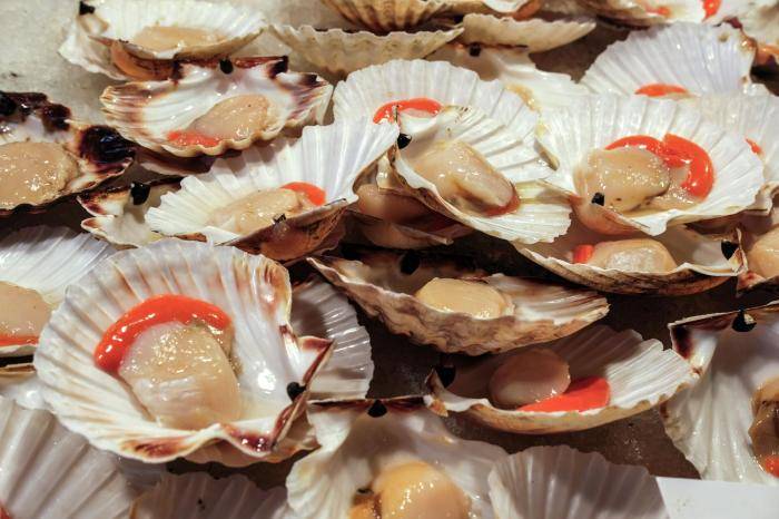 Морской гребешок