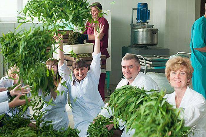 Гастрономический фестиваль Ах!Фест на Алтае