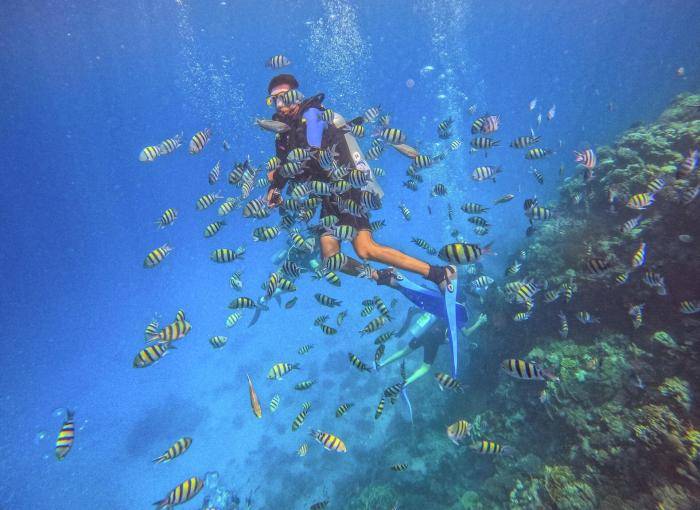 Турист во время снорклинга в Красном море вблизи от побережья Хургады