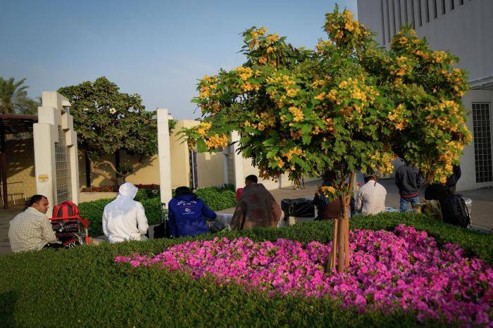 Пассажиры у международного аэропорта Дубая