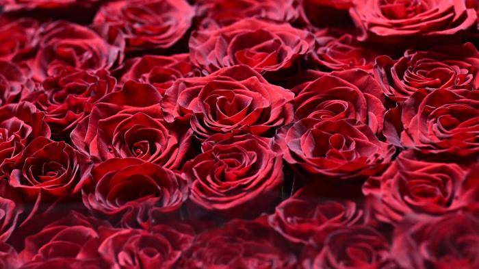 Продажа цветов в Москве в преддверии Международного женского дня