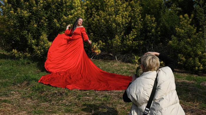 Цветение мимозы в Краснодарском крае