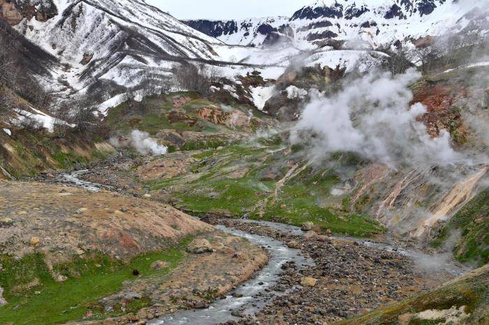 Долина гейзеров в Кроноцком заповеднике