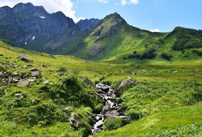 Урочище Ауадхара в Рицинском реликтовом национальном парке в Абхазии.