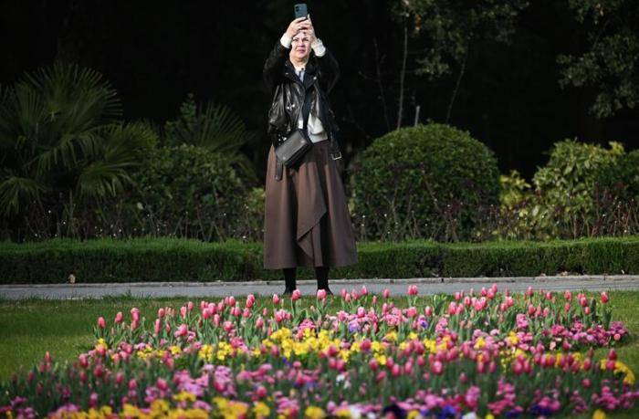Посетительница на 19-й ежегодной выставке Парад тюльпанов в Никитском ботаническом саду в Ялте.