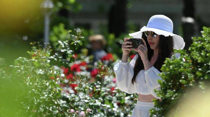 Розы в парке Ривьера в Сочи