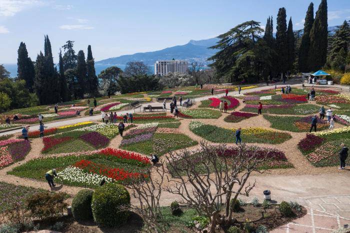 Открытие парада тюльпанов в Никитском ботаническом саду