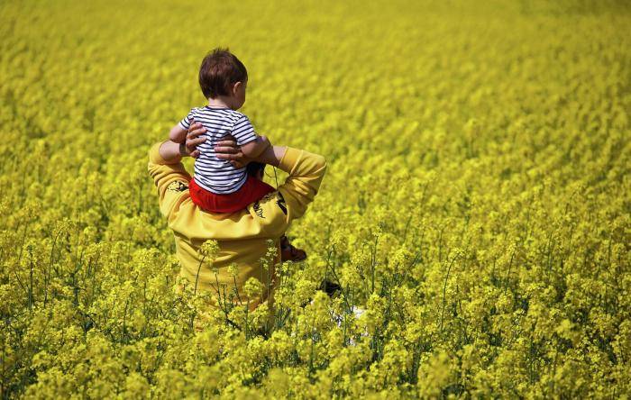 Мужчина с ребенком в рапсовом поле