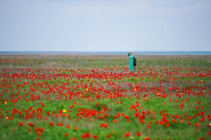Девушка среди цветов на Тюльпановых островах на озере Маныч-Гудило в Калмыкии