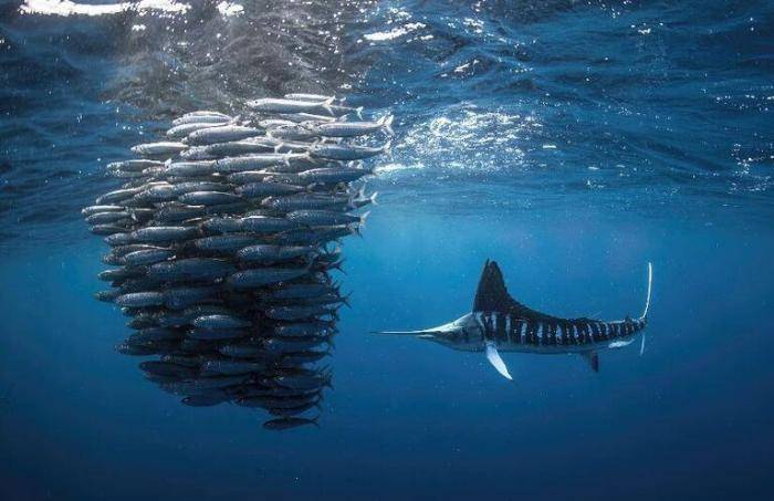 Работа фотографа Михаила Коростелева