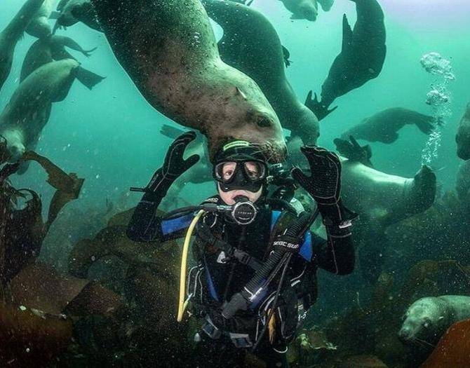 Работа фотографа Михаила Коростелева