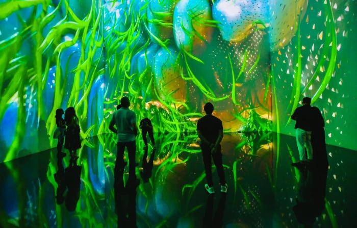 Theatre of Digital Art (ToDA)
