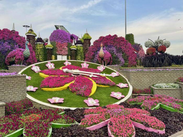 В саду Miracle Garden, Дубай