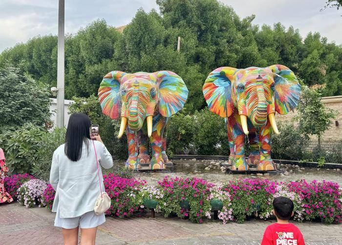 В саду Miracle Garden, Дубай