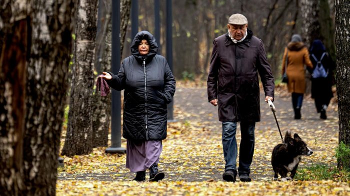 Горожане в парке Сокольники в Москве